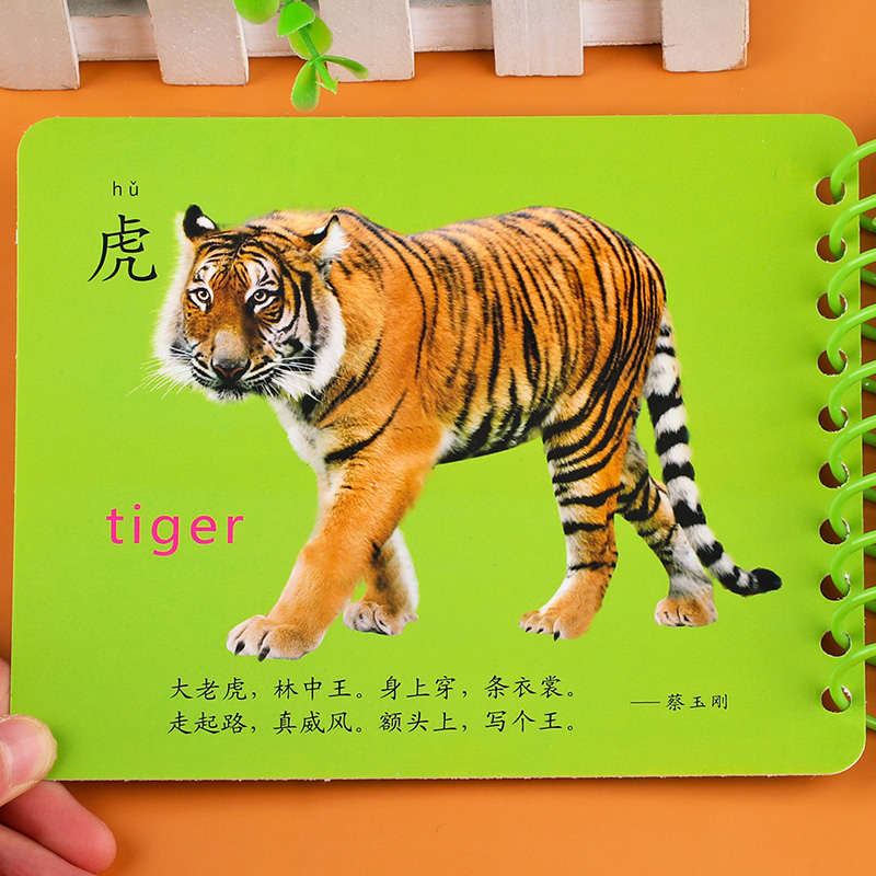 动物世界翻翻卡 婴幼儿认知早教启蒙识物卡 0-1-2-3岁宝宝书本早教撕不烂全脑开发书籍 彩色卡片圈圈书动物卡片 - 图2