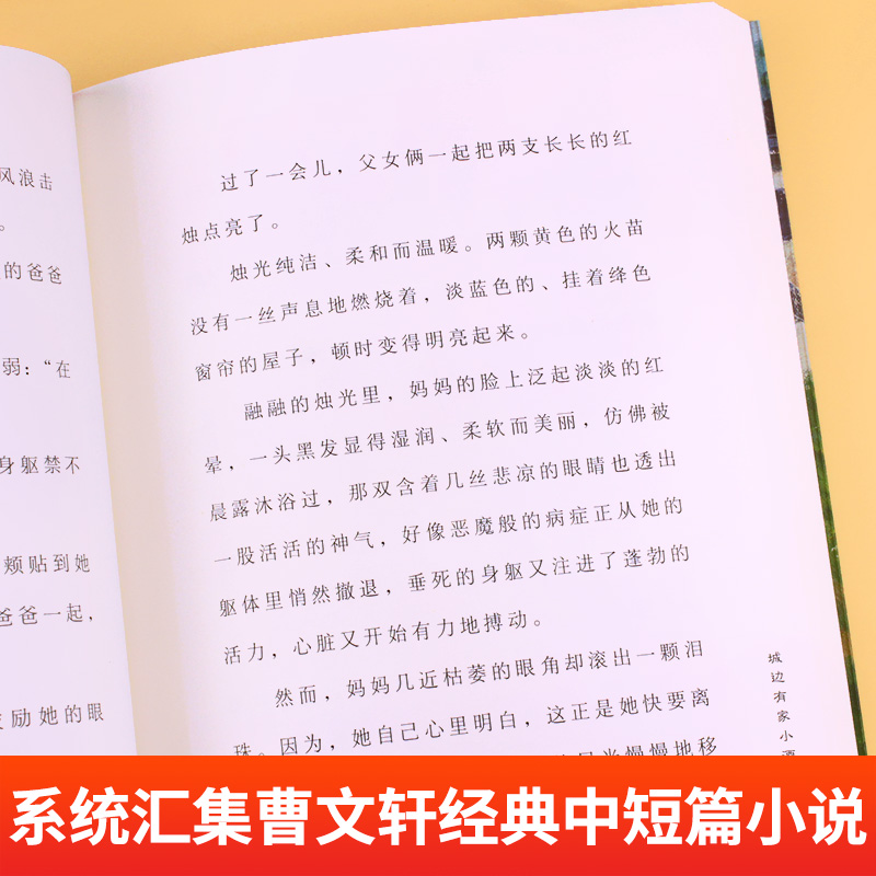 全套5册曹文轩小说集麦子的嚎叫黑魂灵青瓦大街六十六道弯城边有家小酒店6-12周岁小学生课外阅读书籍老师推荐必读少儿童文学读物 - 图2