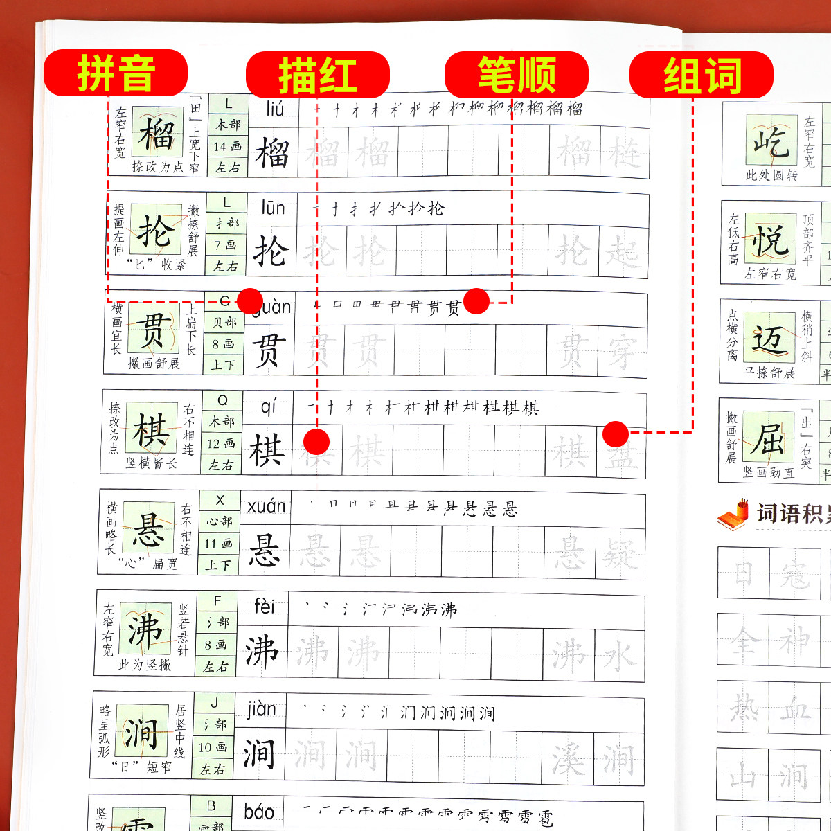 【老师推荐】六年级上册练字帖 人教版语文同步字帖小学6上小学生专用钢笔生字帖课本教材训练上学期习字帖练字每日一练写字课课练