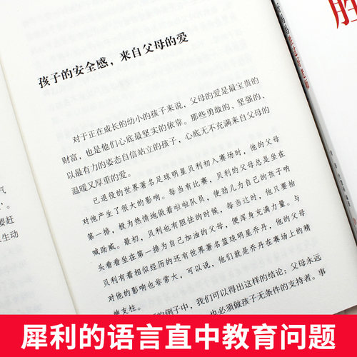 全8册好父母好老师正面管教家庭教育书籍父母是孩子的玩伴心理学育儿书籍父母必读畅销书语言家庭教育父母话术育儿百科教育宝典XT-图2