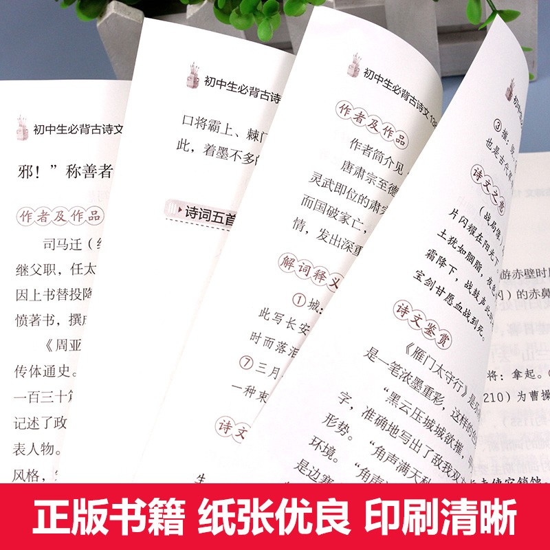 全套2册初中必背古诗文138篇+文言文全解一本通完全解读中学生初一初二初三古诗词文言文必背篇目译注与赏析阅读训练七八九年级zj - 图3