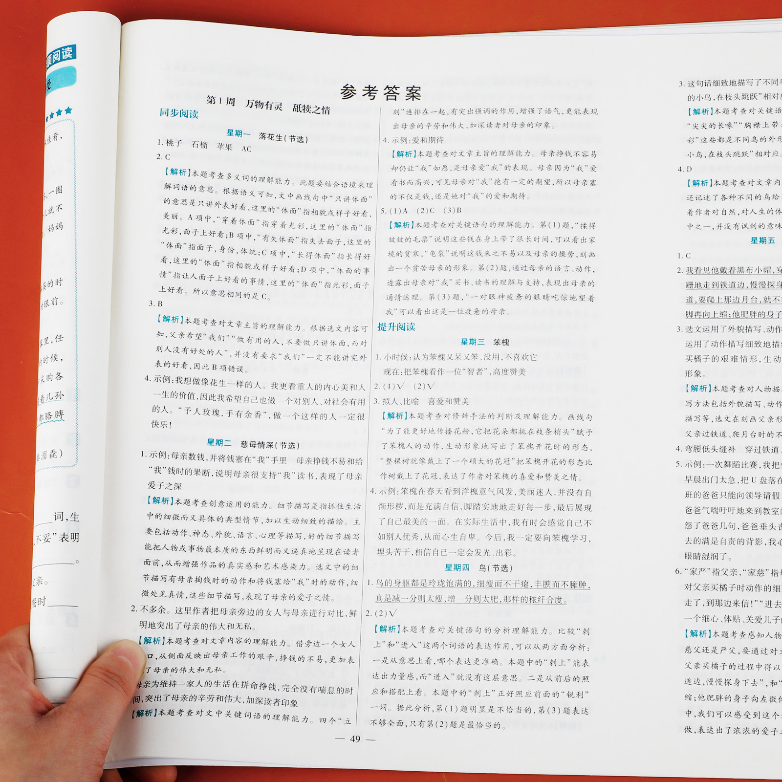 老师推荐！二年级上册寒假阅读大考卷小学生课外阅读理解专项训练人教版小学2年级语文同步阶梯强化阅读练习册每日一练一篇习题,淘宝优惠券,粉丝福利购,淘宝优惠卷