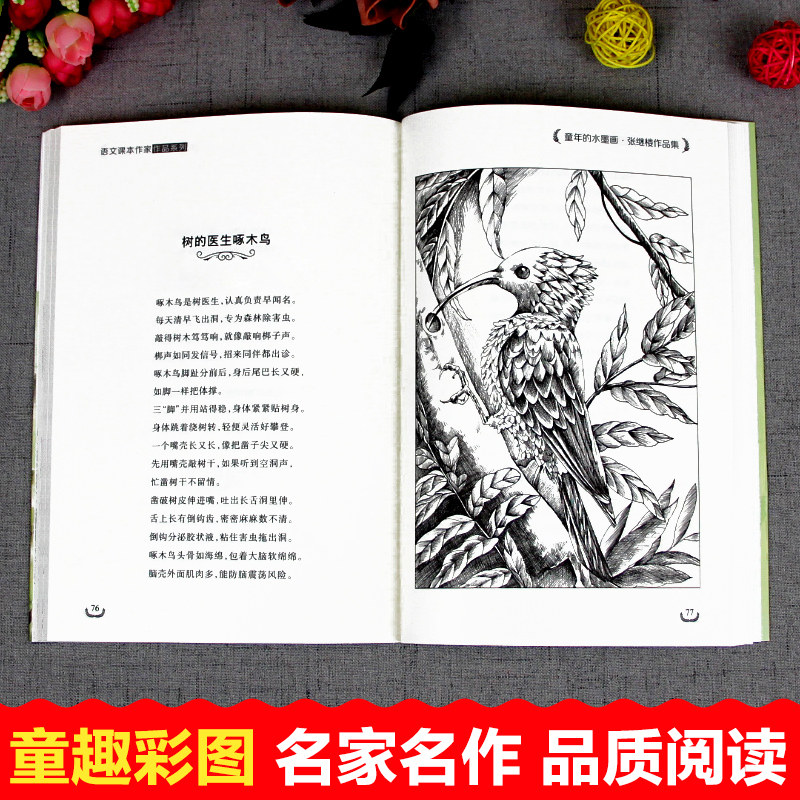 三年级课外书必读全套荷花叶圣陶铺满金色巴掌的水泥道花的学校去年的树金色的草地老师推荐语文课本作家同步阅读书籍文学经典书目