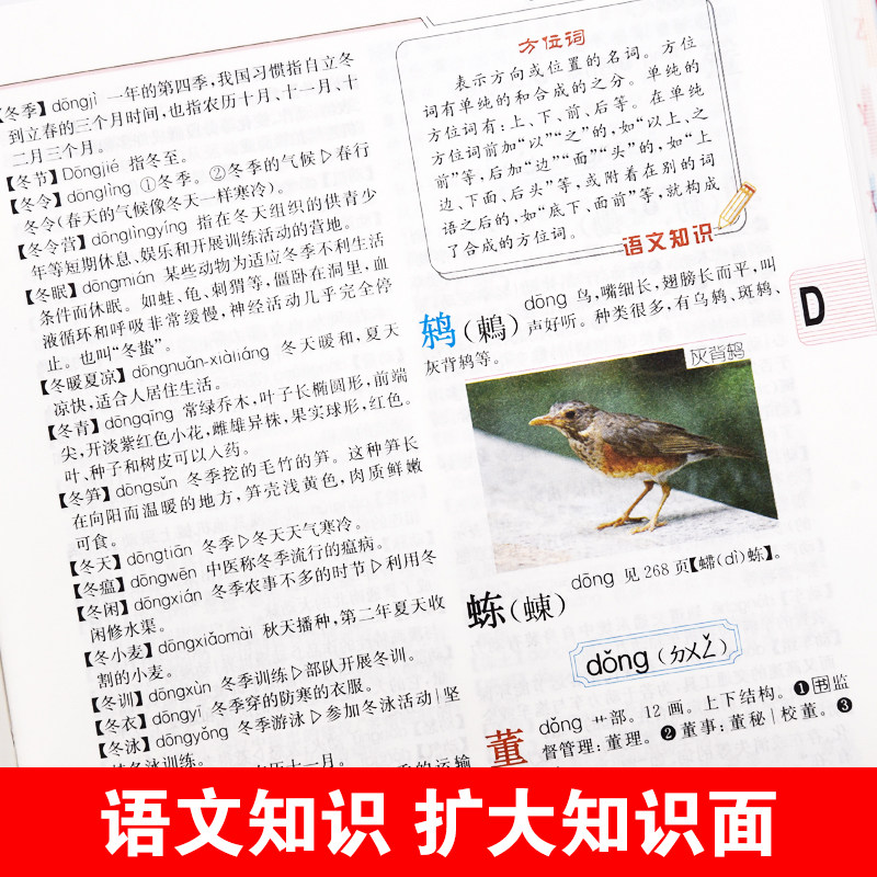 正版2024年现代汉语词典彩色插图本高中生初中生专用新编中学生语文多功能文言文详解四字词语成语解释大全新华大字典第七版8全新