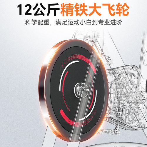 舒华动感单车家用健身器材室内运动自行车磁控静音智能健身车B382 - 图0