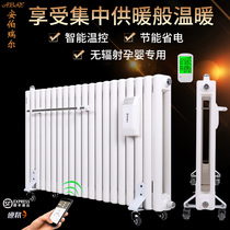 Home water injection Water added electric heater Heating Hydro heating sheet No radiant electric heating steel Water heating warmer