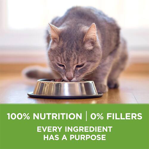 美国直邮 Purina ONE Low Fat Dry Cat Food 室内低脂干猫粮 - 图0