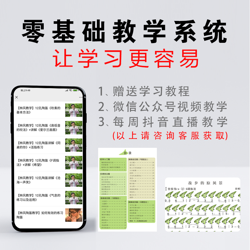 贝多芬乐器专営店凡土陶笛12孔初学入门专业演奏十二孔陶埙ac调中音初级乐器演奏级1