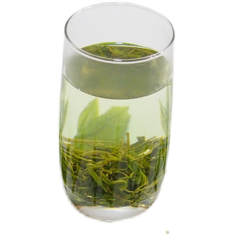 古茶树群体种茶叶树苗 浙江西湖龙井茶苗 盆栽鸠坑茶树苗18元包邮 - 图3