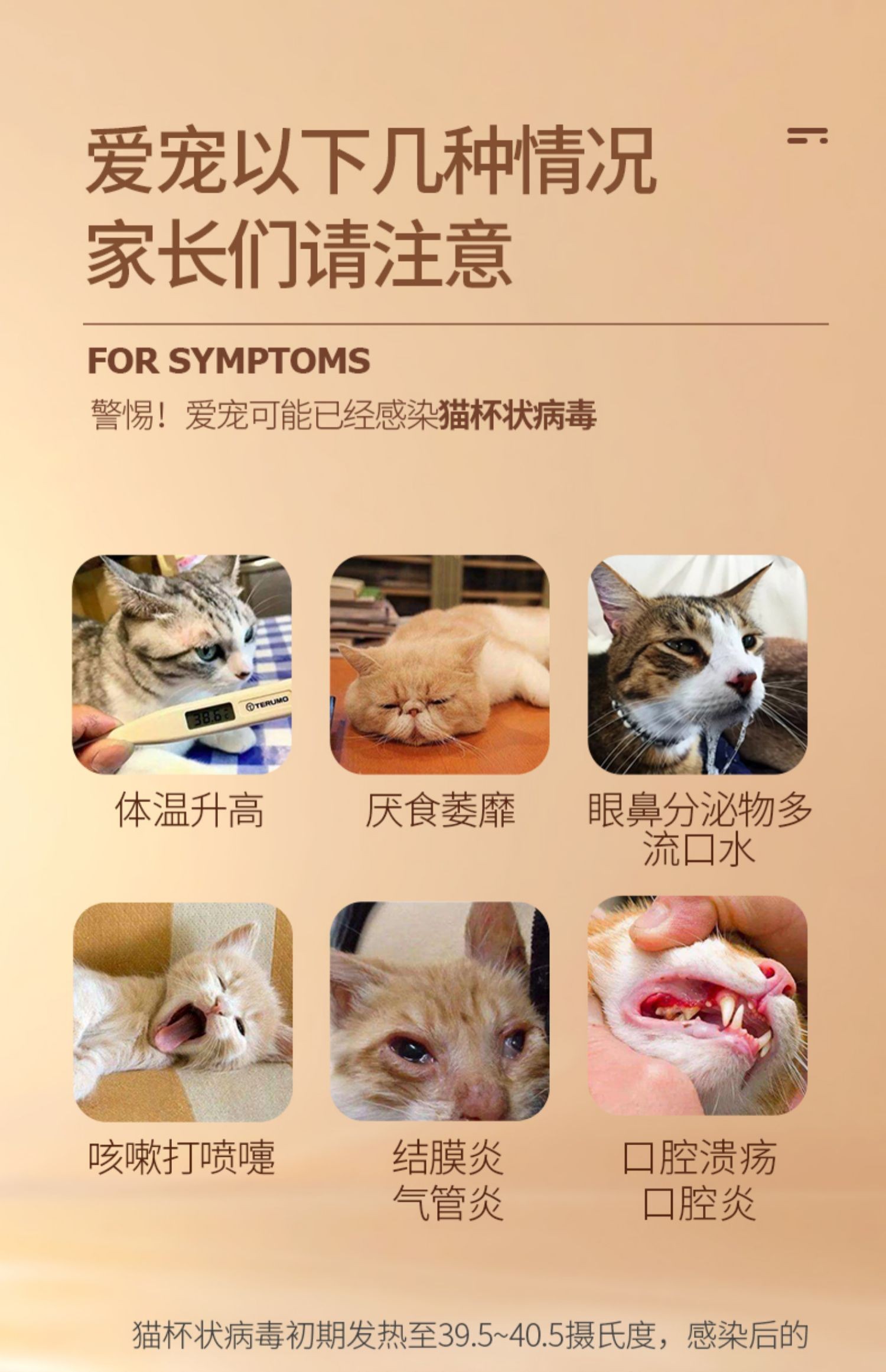 猫咪狂犬病毒检测卡猫瘟细小猫鼻支杯状冠状弓形虫传腹试纸测试卡-图2