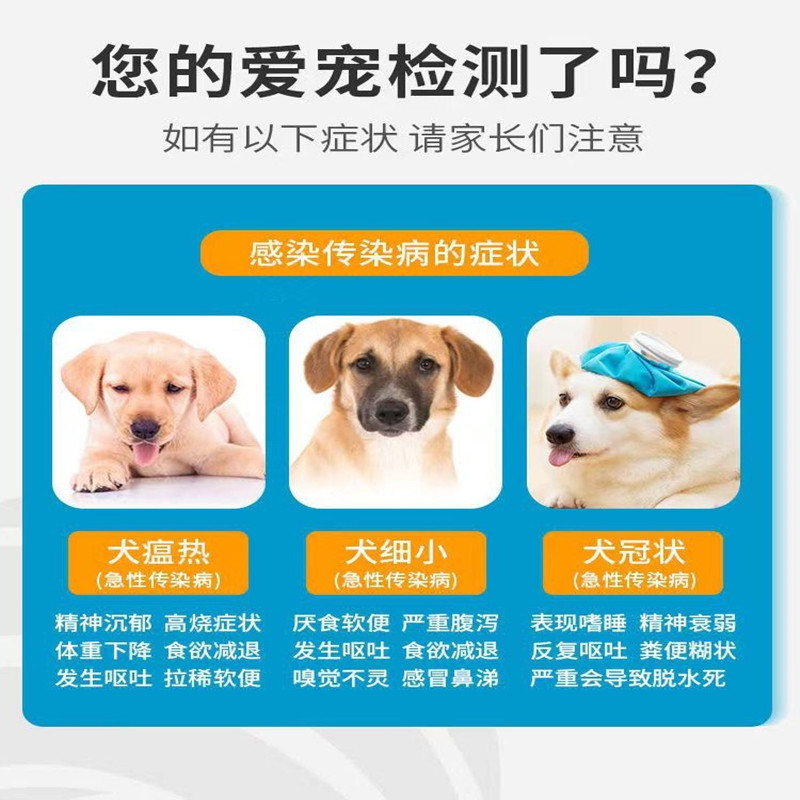 犬瘟细小冠状试纸细小犬瘟试纸CDV犬瘟测试纸CPV CCV幼犬检测卡-图0