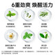 Zhende Refreshing and Refreshing Oil Nose Tong