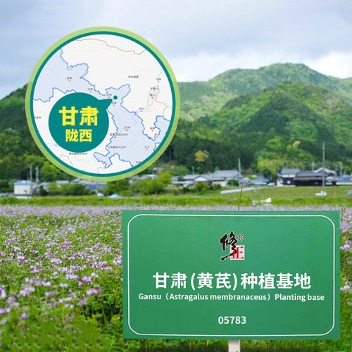 百年修正甘肃黄芪片150g*3罐装 大片正品 切片均匀 泡水煲汤食材 - 图2