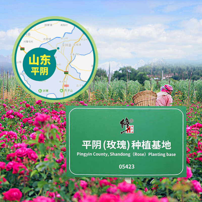 整朵玫瑰花冠茶非特价新花天然大朵干玫瑰 罐装修正平阴玫瑰花茶 3 整朵玫瑰花冠茶非特价新花天然大朵干玫瑰 罐装修正平阴玫瑰花茶 3
