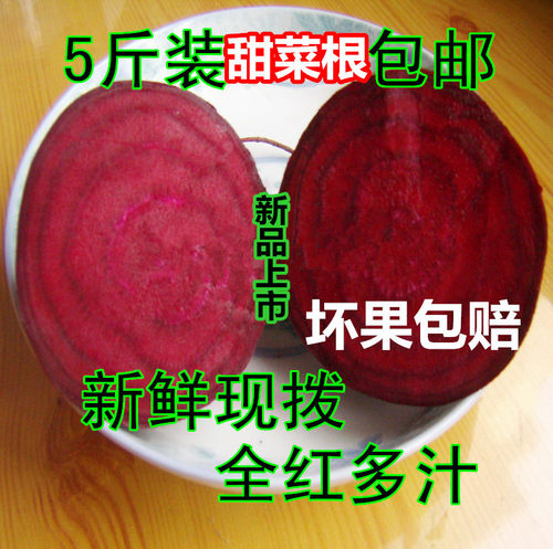 新鲜甜菜根红菜头甜菜头紫菜头红甜菜5斤装现挖无农残多汁蔬菜 - 图0