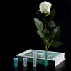 Pansy's flower water storage tube