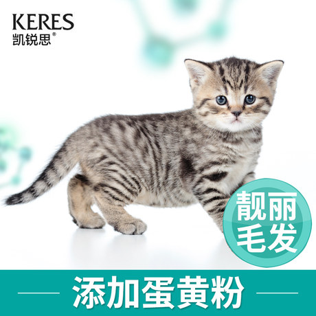 Kai Rui Ji Cat Food 1 2 4 12 Months Milk Cake Fish Child Cat Food Nutrition Fertilizer Food