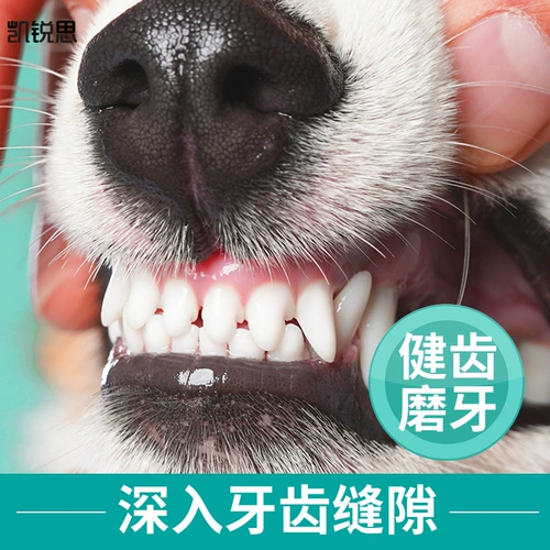 凯锐思 Щенки щенков щенка для собак Мого Мого Мого.