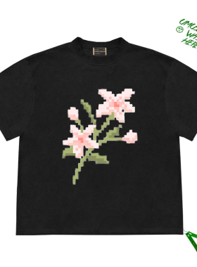 cropped top花卉原创像素花图案flowers and plants设计感短袖T恤