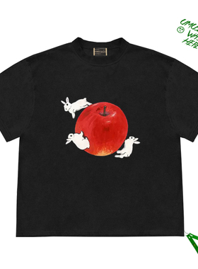 原创小众cropped top 周雨彤同款苹果兔子插画图案创意设计感短袖