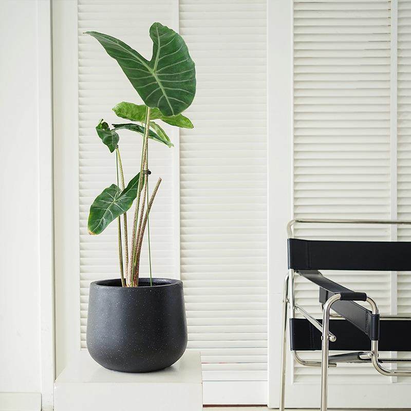北欧简约水泥花盆黑色客厅落地圆形盆栽盆器超大号创意白色种树盆,淘宝优惠券,粉丝福利购,淘宝优惠卷