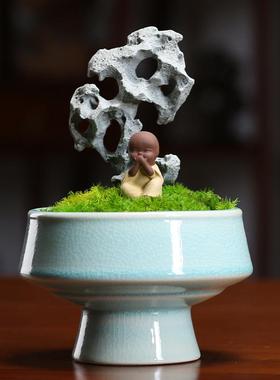 陶瓷微景观创意盆景摆件家用客厅茶室仿真苔鲜绿植盆栽桌面装饰品