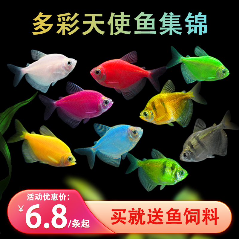 商品详情图片