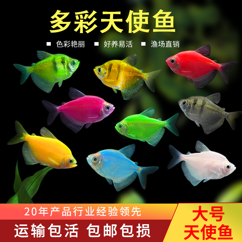 商品详情图片
