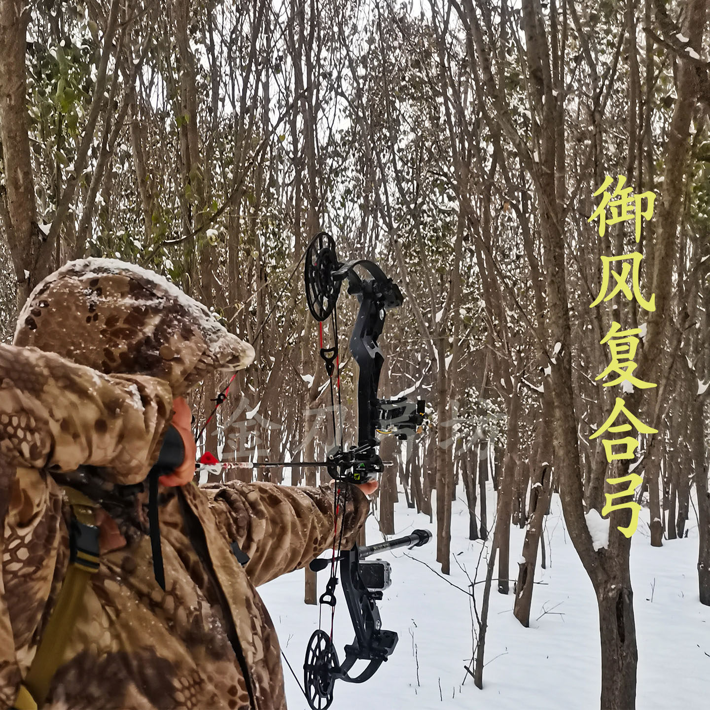 金刀弓坊 御风复合弓 射箭复合弓单用射箭专用 滑轮复合弓 非两用,淘宝优惠券,粉丝福利购,淘宝优惠卷