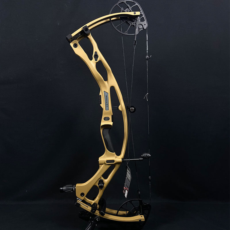 2025Hoyt霍伊特RX9复合弓碳素弓箭高端射箭美国进口新款优质新款,淘宝优惠券,粉丝福利购,淘宝优惠卷