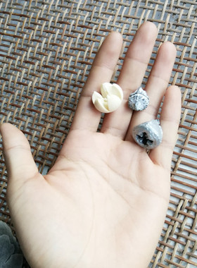花海大世界干花永生花开心果