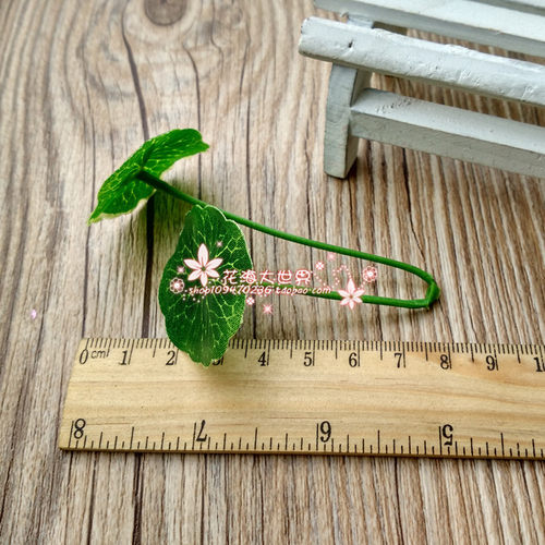 花环材料 森林系仿真叶绿叶diy手工配件花海大世界玫瑰叶一片出售 - 图3