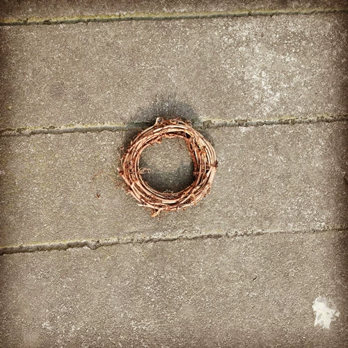 Виноградные виноградные виноградные виноградные дерево