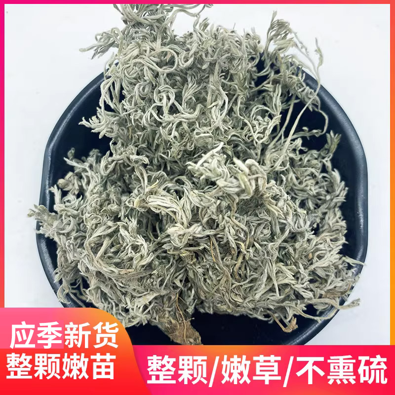 整株茵陈500克新货三月整棵野生新鲜中药材白蒿棉绵茵陈蒿红枣茶 - 图2