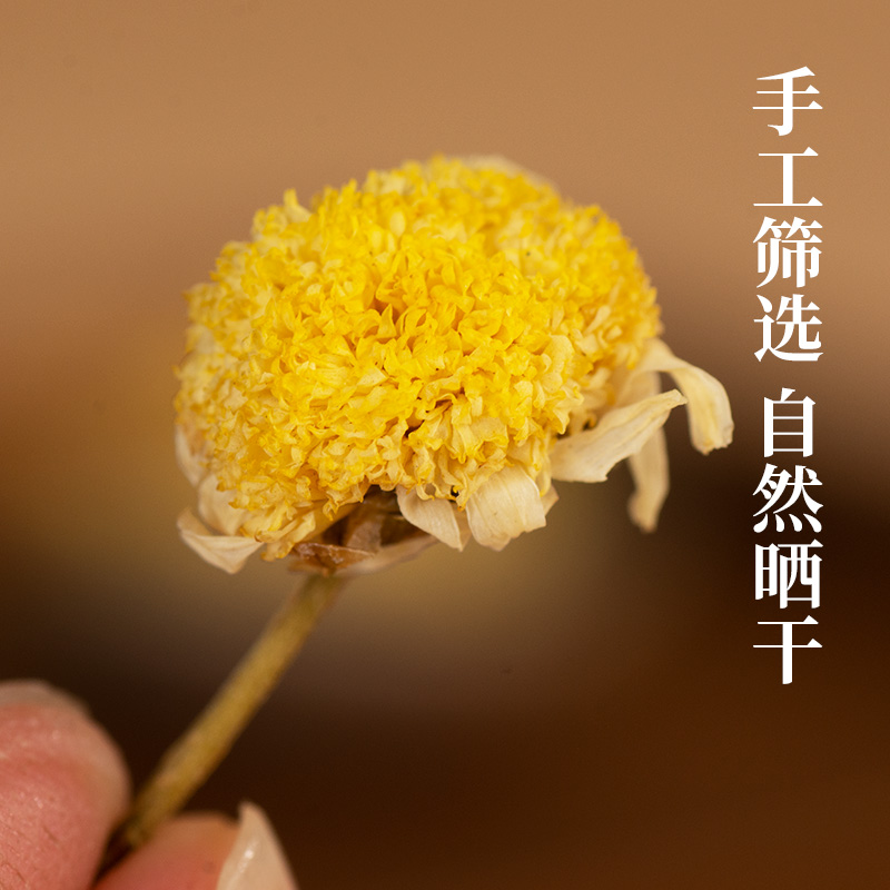 天然野菊花干正品四川阿坝高原野菊花茶药用野菊花罐装泡茶中药材 - 图1