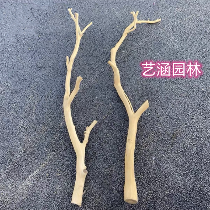 天然干树枝树枝装饰干枝艺术枯枝枯木树干去皮本色树枝造型衣架_虎窝淘