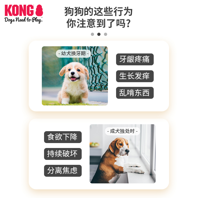 KONG幼犬轮胎漏食玩具耐咬橡胶宠物解闷丰容磨牙藏食益智狗狗玩具
