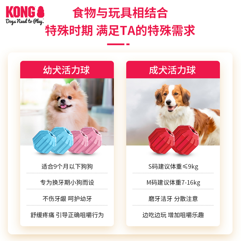 KONG狗狗漏食球玩具橡胶耐咬益智解闷消耗体力幼犬活力球宠物磨牙 - 图1