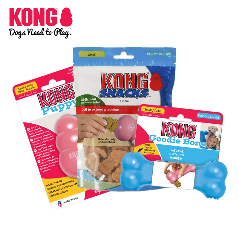 KONG幼犬趣味漏食训练宠物玩具9kg以下狗狗玩具组合