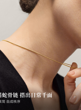 Onchic素简蛇骨链项链