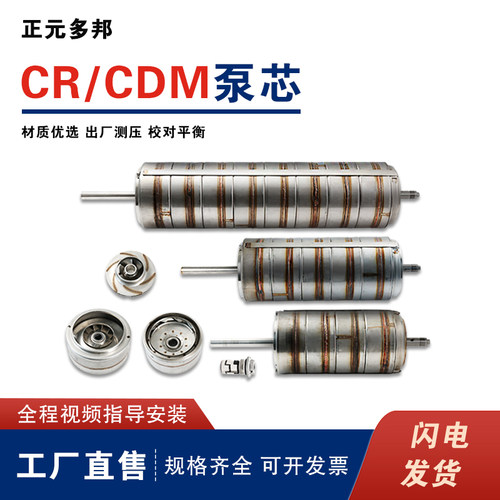 CDL/SDL/DLB/CDM42/65/85泵芯总成凯泉格兰富南方南元利欧泵配件 - 图0