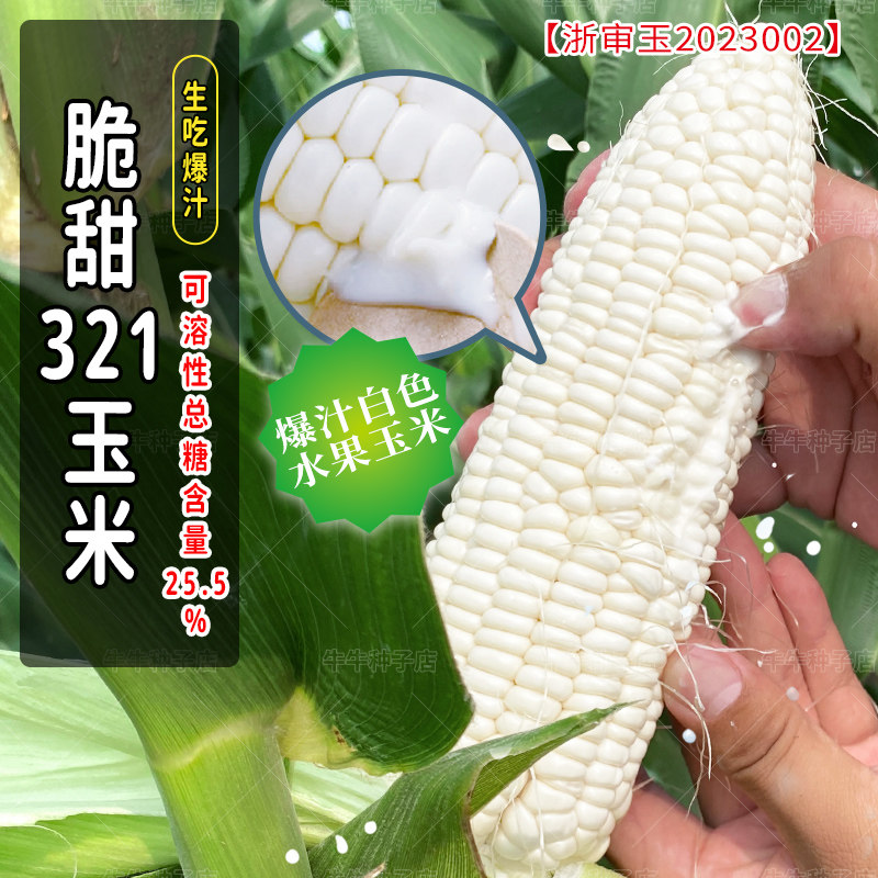 蔬菜种子大全香菜葱菠菜生菜青菜种子家庭阳台春秋四季蔬菜种孑