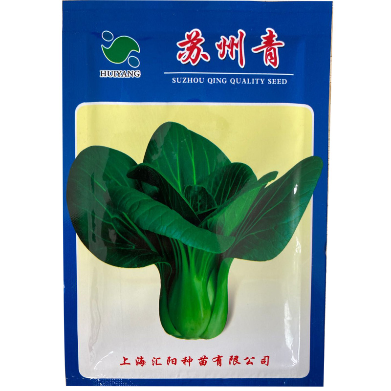 苏州青油菜种子四季南方高产小青菜种籽阳台盆栽小白菜蔬菜种孑-图0