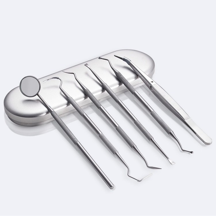 Stainless steel dental tool oral care dental tool set endosc - 图1