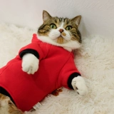 Кошачья одежда Зимняя одежда Новая год теплая и антиворота котята английский короткий голубая кошачь