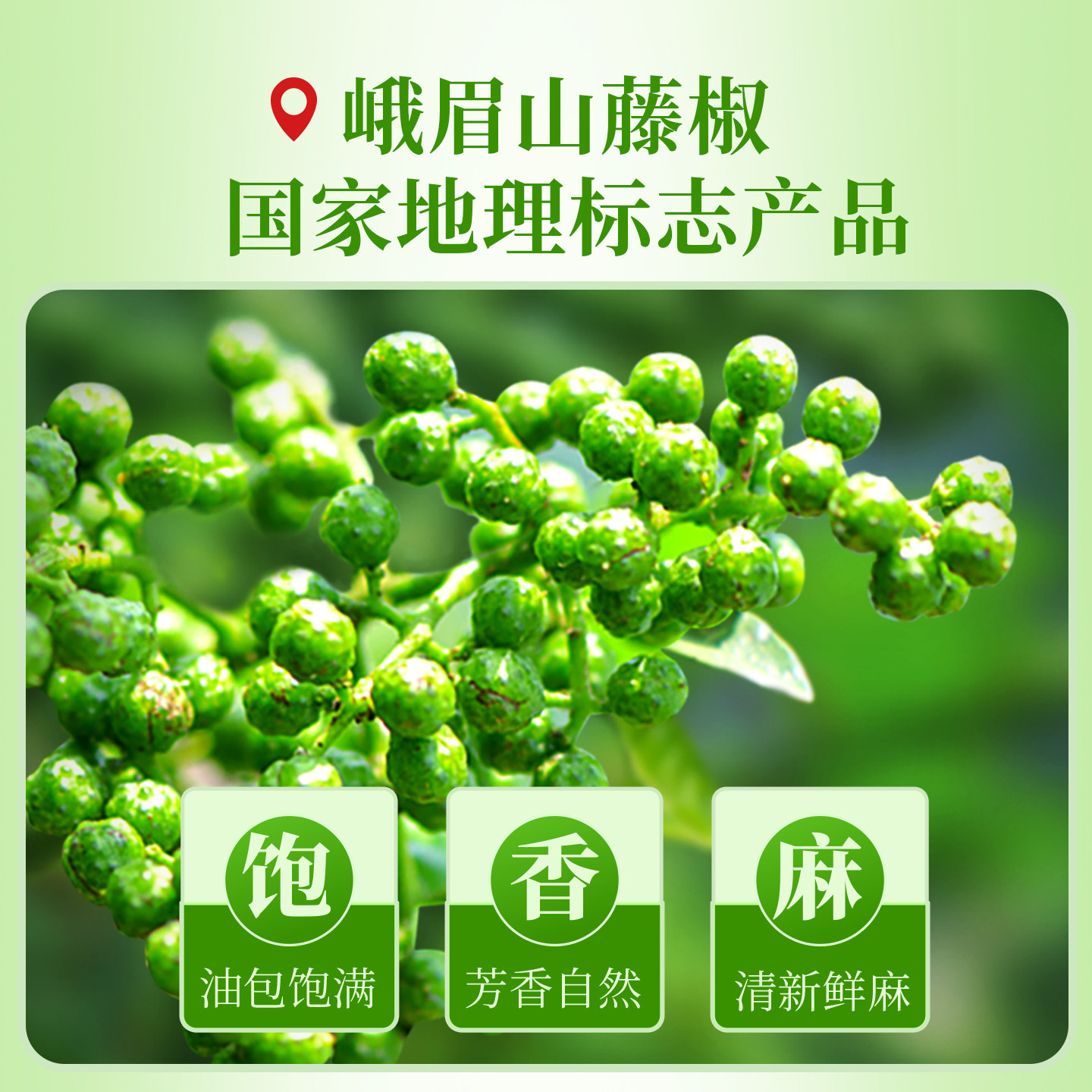 【0香精】仲景藤椒油四川青花椒麻油凉拌菜料汁米线火锅调味油,淘宝优惠券,粉丝福利购,淘宝优惠卷