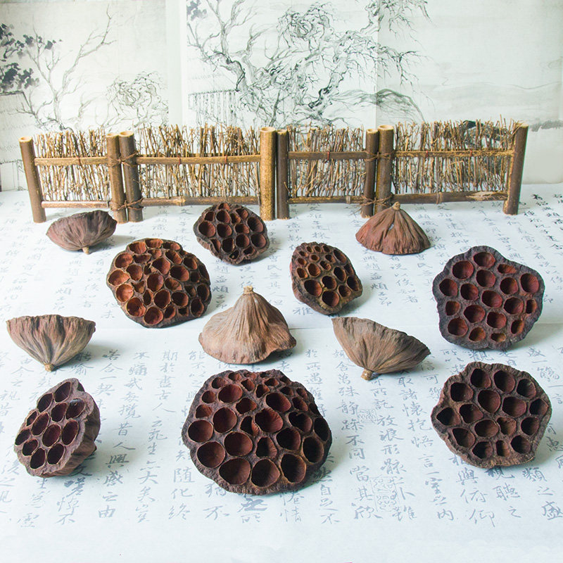 天然干花莲蓬头复古中国风背景道具珠宝首饰美食干货摆拍照相摄影,淘宝优惠券,粉丝福利购,淘宝优惠卷