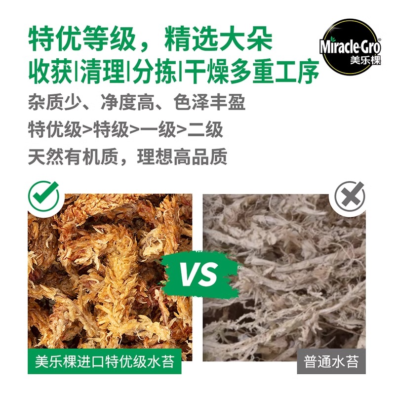 美乐棵智利毛毛虫水苔干苔藓文心兰石斛蝴蝶兰花专用土爬宠介质 - 图2