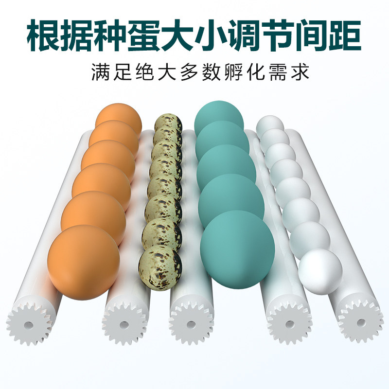 孵化器小型家用孵蛋器全自动智能孵化箱鸭鹅鸽子鹌鹑小鸡孵化机,淘宝优惠券,粉丝福利购,淘宝优惠卷