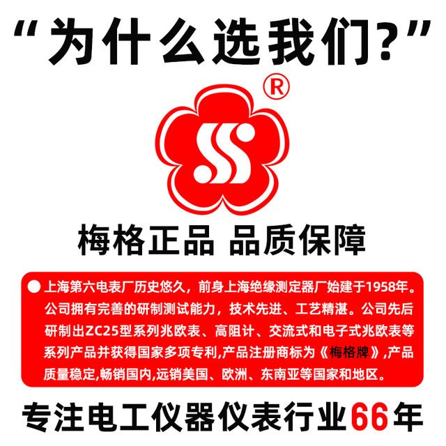 Shanghai Meg shaker 500v electrician high precision